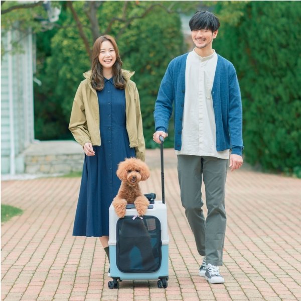 画像3:  【期間限定キャバヒルステッカー付】 PETiCOのペットキャリー「ico」 (3)