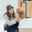 画像1:  PETiCOのペットキャリー「ico」 (1)