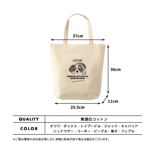 画像4: LIFELIKE ドッグタイプトート（キャバリア） (4)
