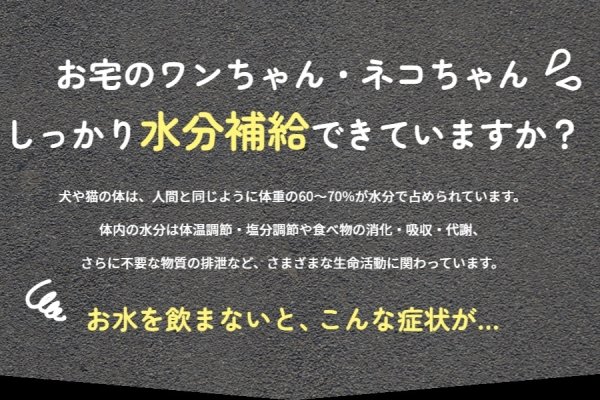 画像2:  【ZEN店長＆Jennyちゃん愛用】 ROZAI　天然素材　サプリメントウォーターボトル (2)