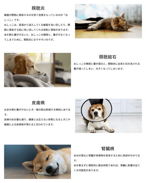 画像3:  【ZEN店長＆Jennyちゃん愛用】 ROZAI　天然素材　サプリメントウォーターボトル (3)