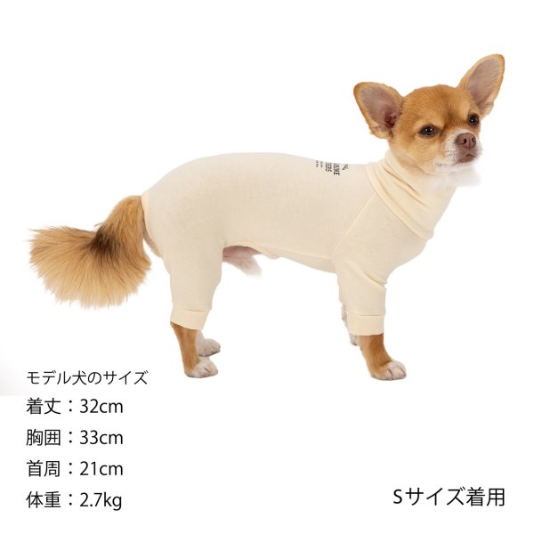 画像26: SKIN TIGHT SUIT　スキンタイトスーツ (26)