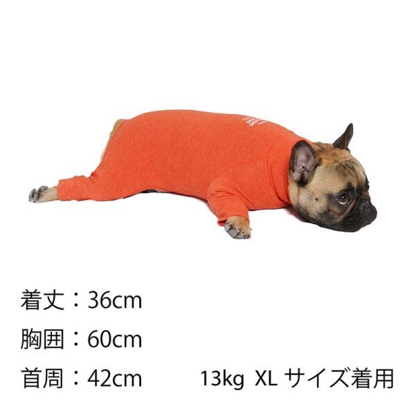 画像33: SKIN TIGHT SUIT　スキンタイトスーツ (33)