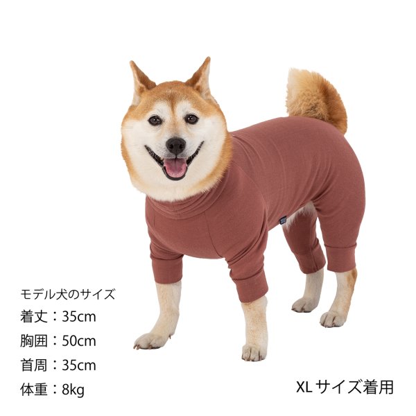 画像35: SKIN TIGHT SUIT　スキンタイトスーツ (35)