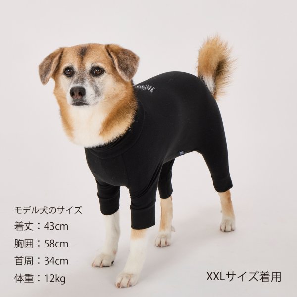 画像47: SKIN TIGHT SUIT　スキンタイトスーツ (47)