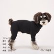 画像45:  【新色追加】 SKIN TIGHT SUIT　スキンタイトスーツ (45)
