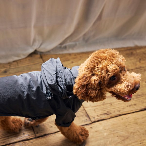 画像22: MB WINDBREAKER (22)