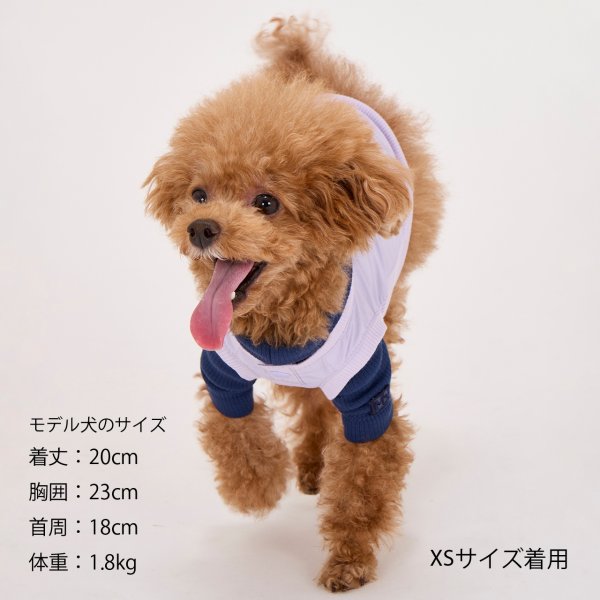 画像12: MB PISTE (12)