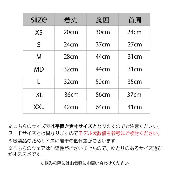 画像8: MB PISTE (8)