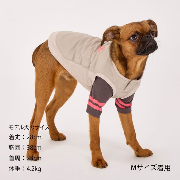 画像14: MB PISTE (14)