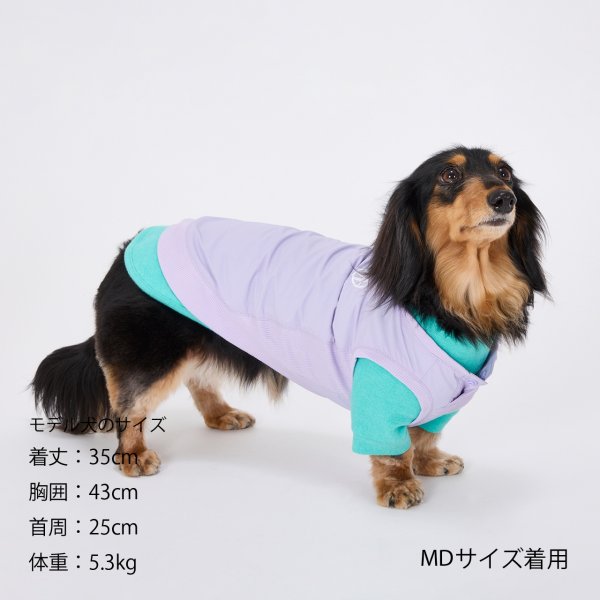 画像15: MB PISTE (15)