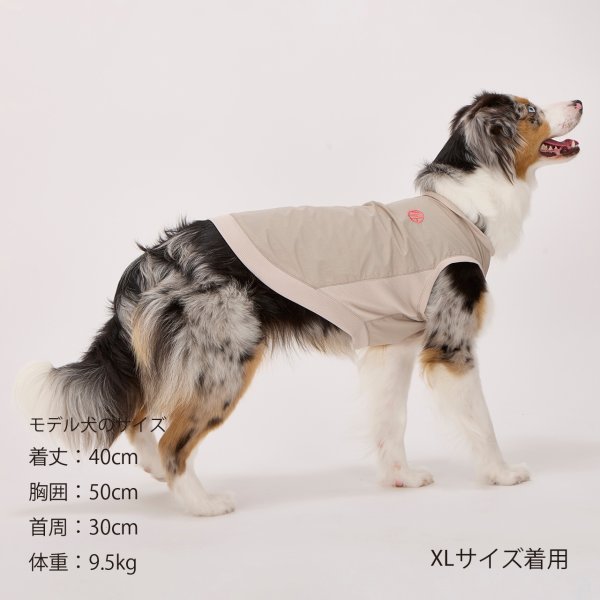 画像17: MB PISTE (17)