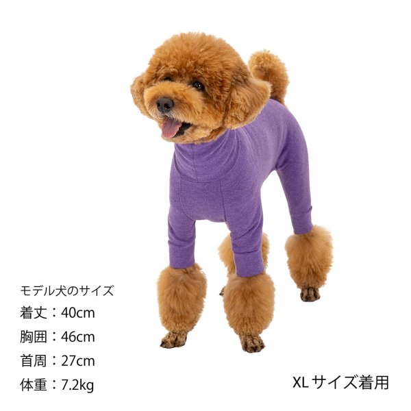 画像39: SKIN TIGHT SUIT　スキンタイトスーツ (39)