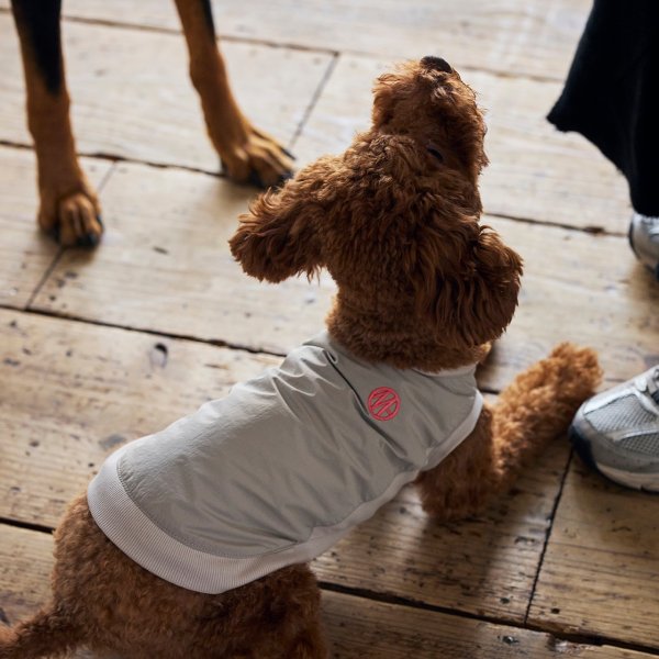 画像19: MB PISTE (19)