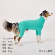画像46:  【新色追加】 SKIN TIGHT SUIT　スキンタイトスーツ (46)