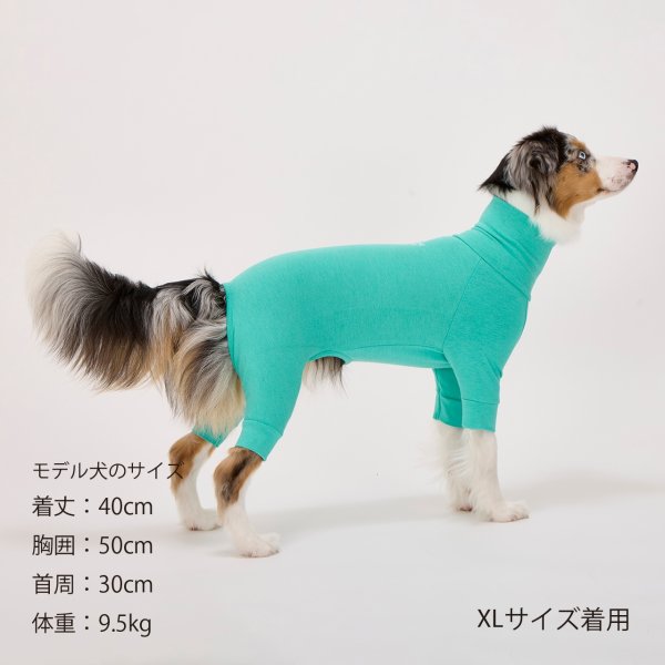 画像46: SKIN TIGHT SUIT　スキンタイトスーツ (46)