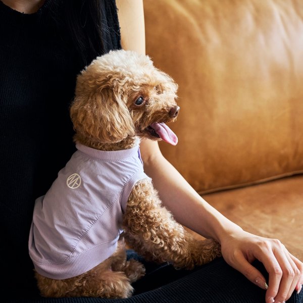 画像20: MB PISTE (20)