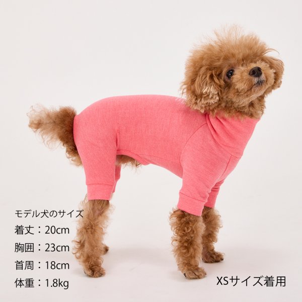 画像41: SKIN TIGHT SUIT　スキンタイトスーツ (41)