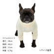 画像36:  【新色追加】 SKIN TIGHT SUIT　スキンタイトスーツ (36)