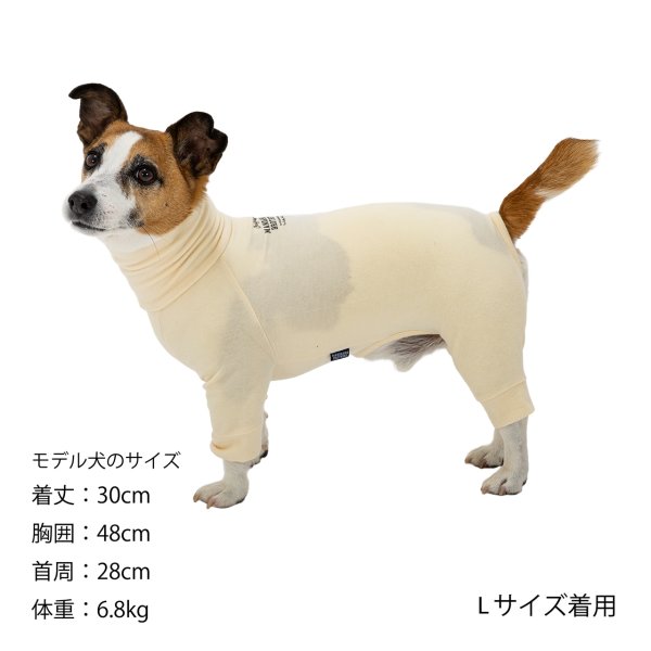 画像38: SKIN TIGHT SUIT　スキンタイトスーツ (38)