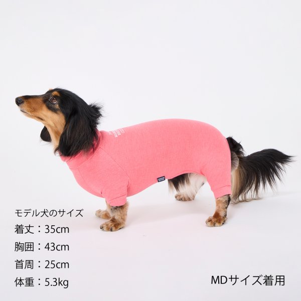 画像44: SKIN TIGHT SUIT　スキンタイトスーツ (44)