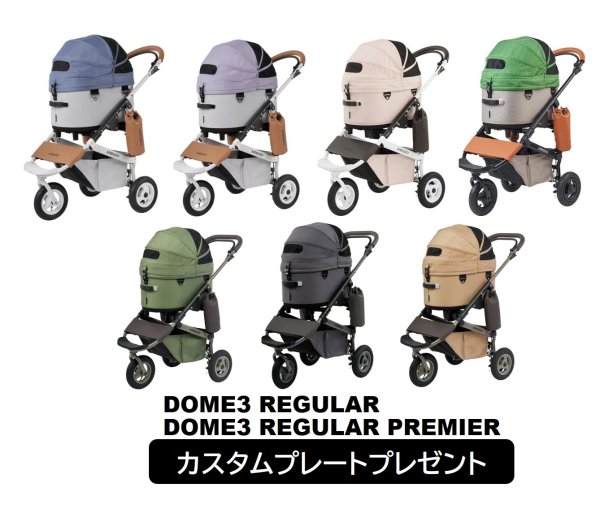 画像1:  【カスタムプレートプレゼント】 エアバギー・DOME3・REGULAR(レギュラー) (1)