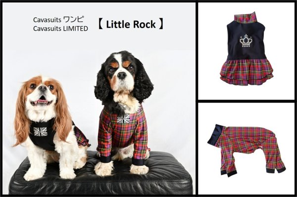 画像8:  ★9月新作★  【注文受付中】 【キャバスーツLIMITED 】Little Rock（リトルロック） (8)
