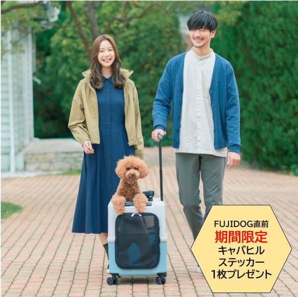 画像1:  【期間限定キャバヒルステッカー付】 PETiCOのペットキャリー「ico」 (1)
