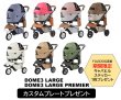 画像1:  【期間限定キャバヒルステッカー付】  【カスタムプレートプレゼント】 エアバギー・DOME3・LARGE(ラージ) (1)