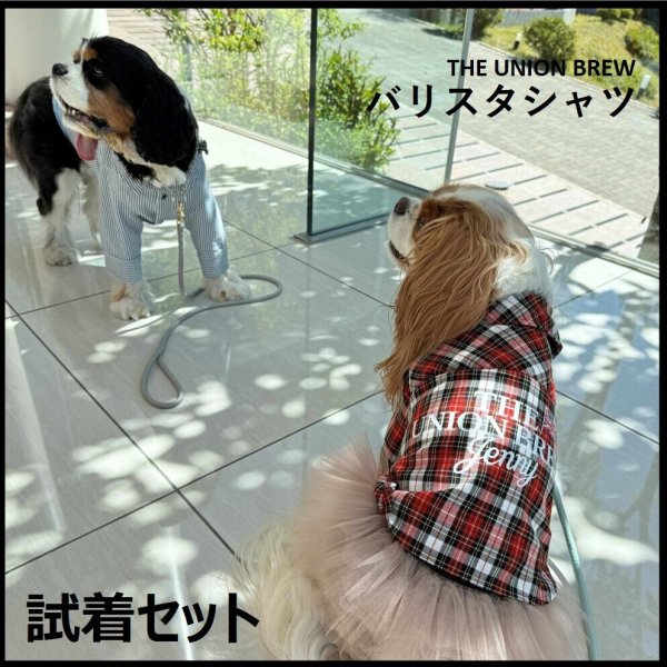 画像1: UNION BREW バリスタシャツ試着セット（600円分ポイントバック付き） (1)