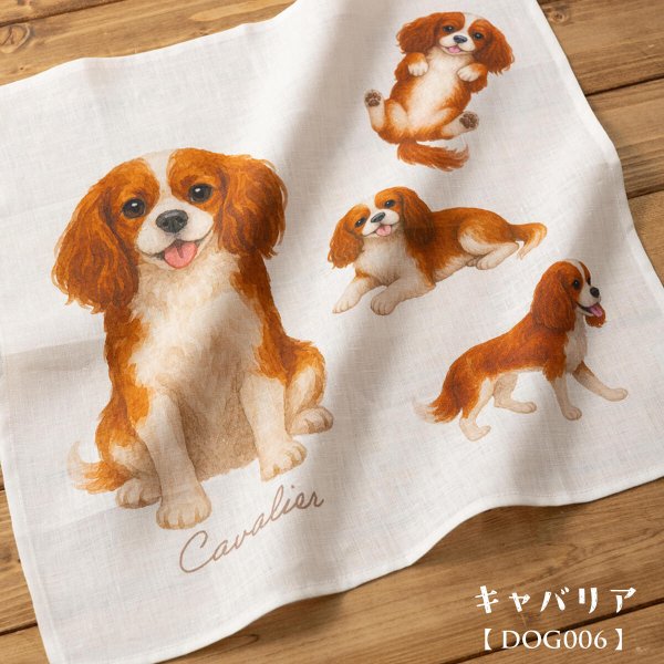 画像1: キャバリアリネンハンカチ (1)