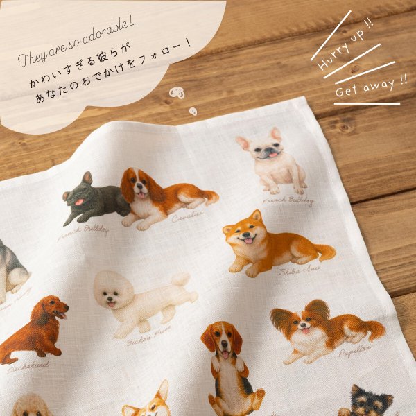 画像5: キャバリアリネンハンカチ (5)