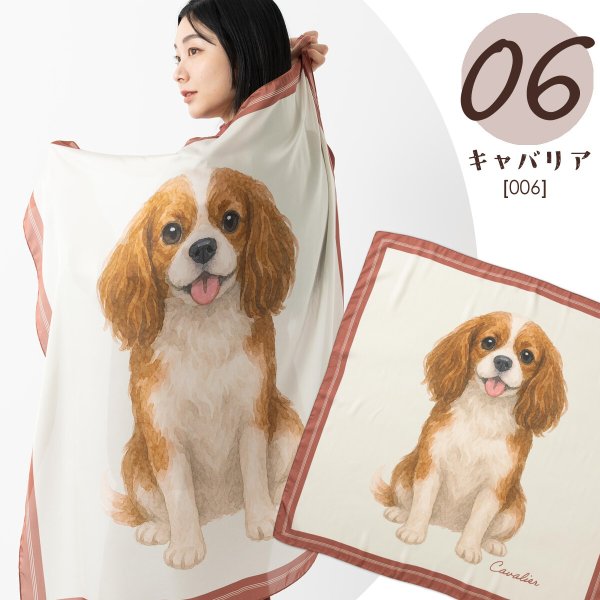 画像1: キャバリアスカーフ (1)