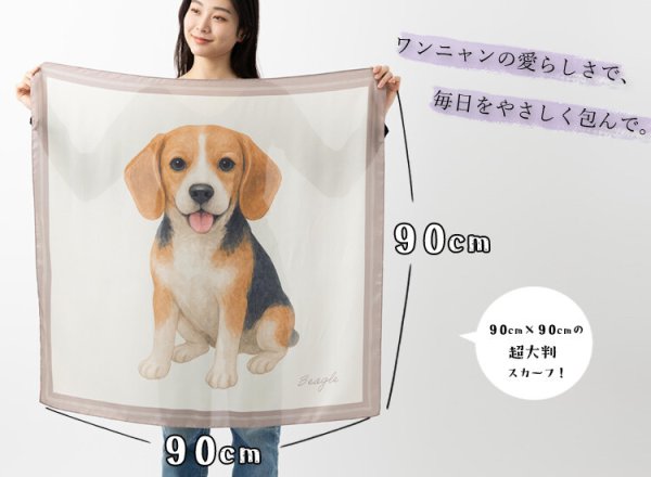 画像4: キャバリアスカーフ (4)