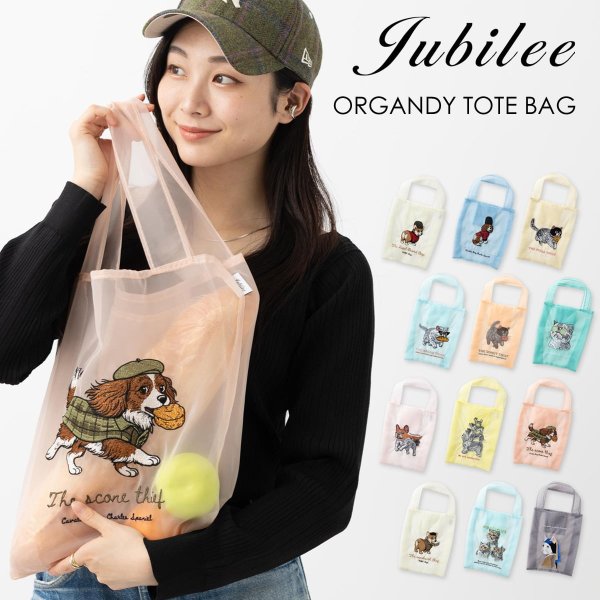 画像1: キャバリアオーガンジー刺繍トートバッグ (1)