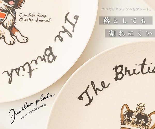 画像5: キャバリアバンブープレート（2枚セット） (5)