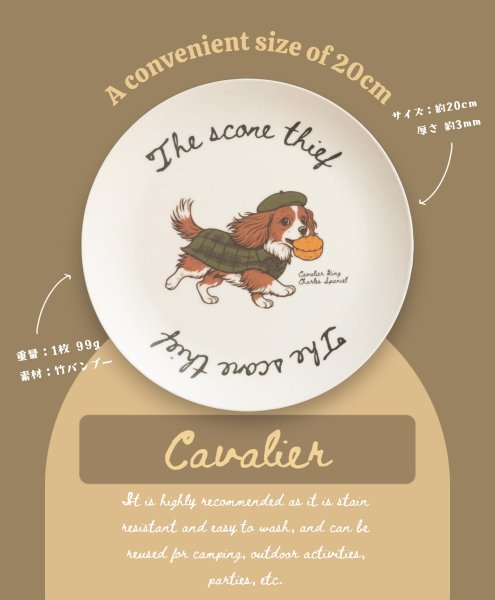 画像3: キャバリアバンブープレート（2枚セット） (3)