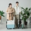 画像3:  【NEW】 PETiCOのペットキャリー「ico PLUS」 (3)