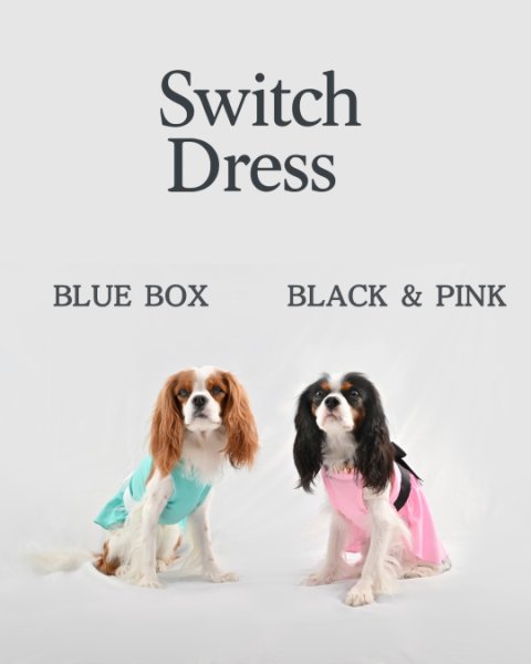 画像1:  【注文受付中】  6月新作 【Jennifer & Colour】Switch Dress (1)
