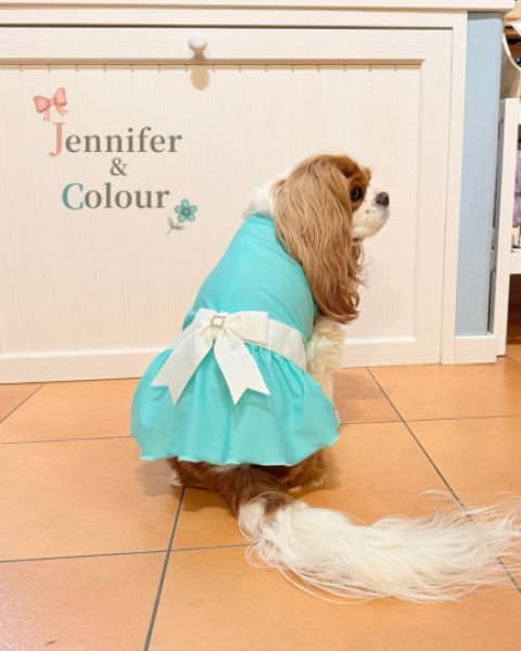 画像4:  【注文受付中】  6月新作 【Jennifer & Colour】Switch Dress (4)