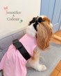 画像3:  【注文受付中】  6月新作 【Jennifer & Colour】Switch Dress (3)