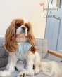 画像2:  【注文受付中】  6月新作  【Jennifer & Colour】BALLOON ROMPERS（バルーンロンパース）MINT：Chalk Stripe (2)