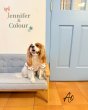 画像4:  【注文受付中】  6月新作  【Jennifer & Colour】BALLOON ROMPERS（バルーンロンパース）Many Hearts (4)