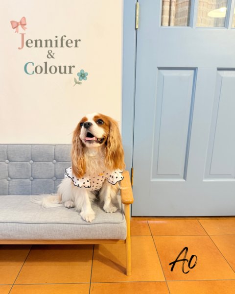 画像4:  【注文受付中】  6月新作  【Jennifer & Colour】BALLOON ROMPERS（バルーンロンパース）Many Hearts (4)