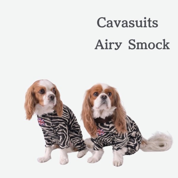 画像1:  2月新作 【キャバスーツ LIMITED】Airy SMOCK：ZEBRA・BLACK (1)