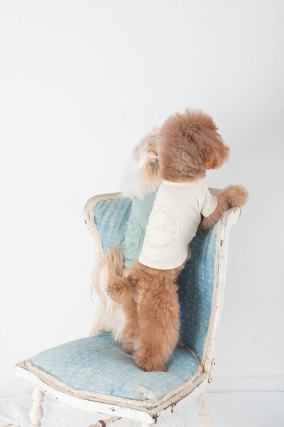 画像9: 【Riche】クラッシースタイルTシャツ (9)