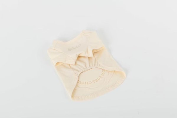 画像15: 【Riche】クラッシースタイルTシャツ (15)