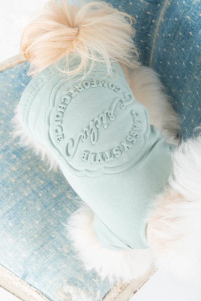 画像11: 【Riche】クラッシースタイルTシャツ (11)