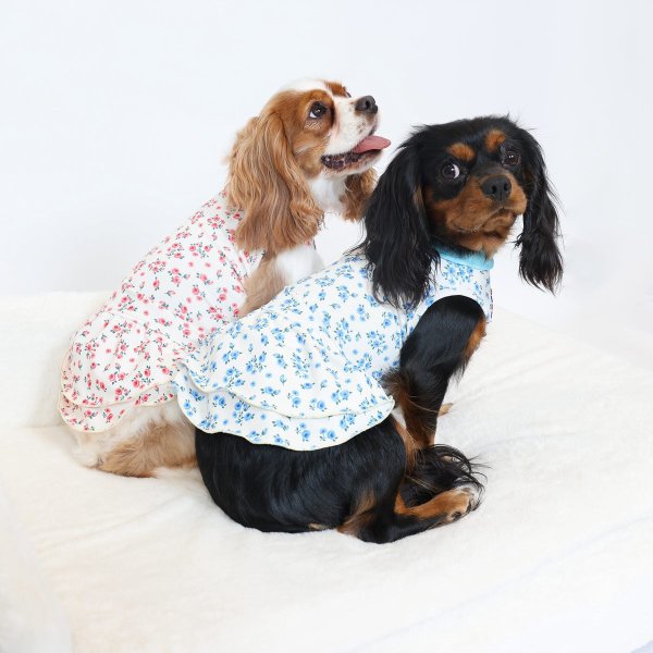 画像7:  9月新作 【キャバスーツ ワンピ】Garden on the Hill ( CORAL ) (7)