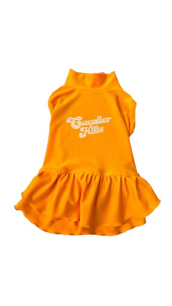 画像35:  Ｍサイズ・カラー限定 【残り1着】Cavasuits チアワンピ (35)